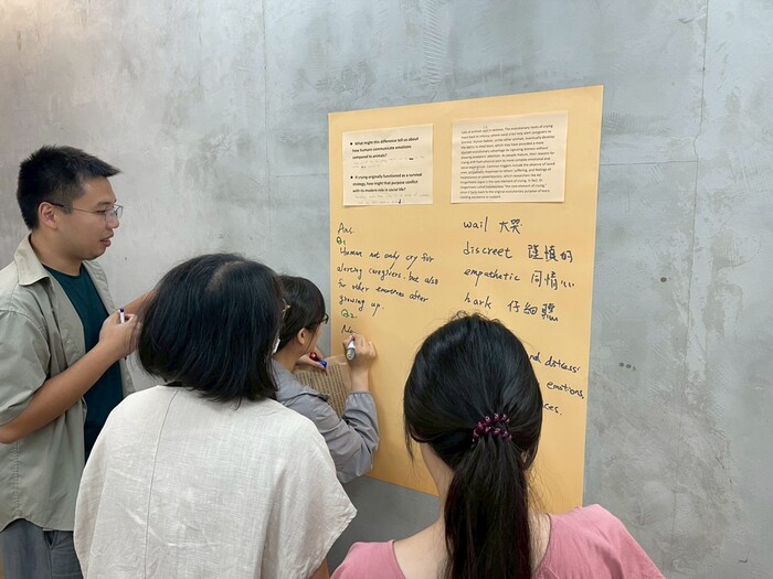 認真討論的教授們